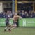 Dwayne Corcoran vs Rochford Hundred