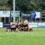 1st XV v Esher pre-season friendly