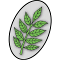 New Ash Green - Edited