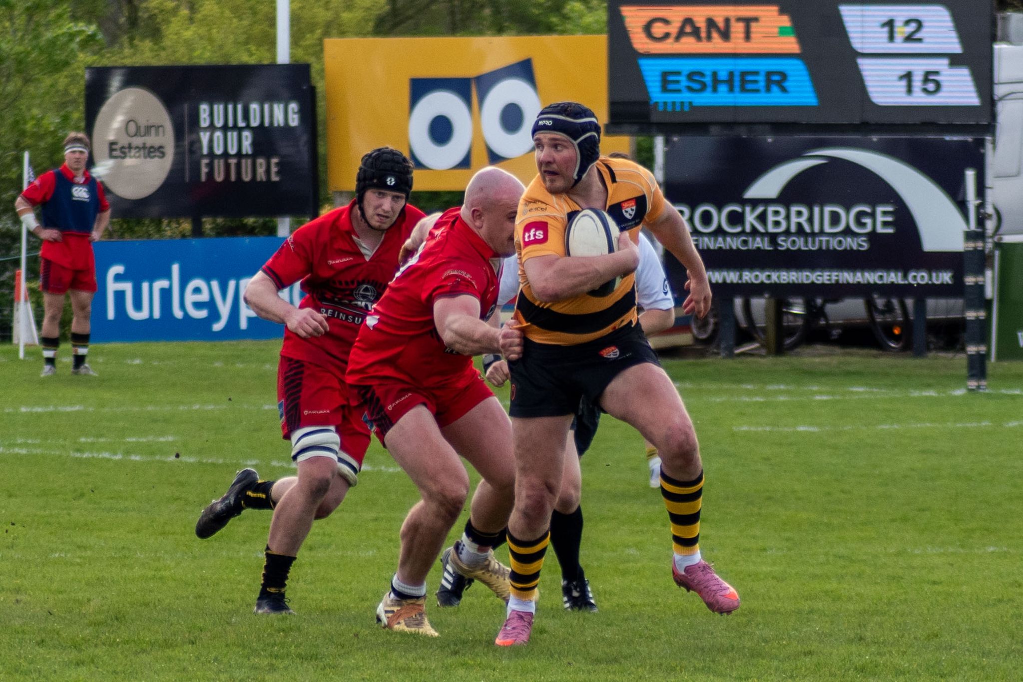 Harry Sloane
