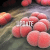Meningitis - UPDATE